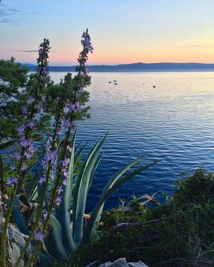 Sea View Ela Apartments Podgora Exterior photo